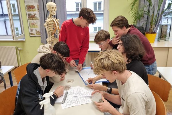 Bildungsangebot_slide (10)