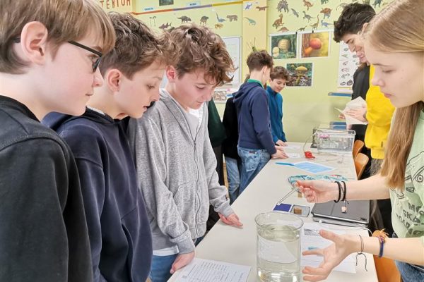 Bildungsangebot_slide (4)