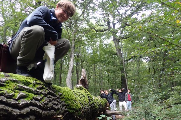 Bildungsangebot_slide (5)