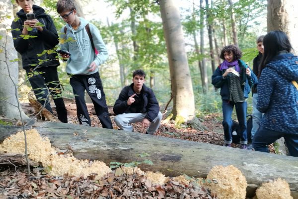 Bildungsangebot_slide (6)